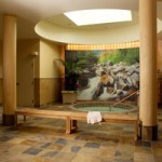 Agave, The Arizona Spa at The Westin Kierland Resort and Spa